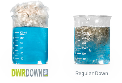 dwrdown™ test results explained